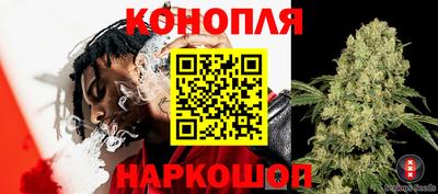 ПСИЛОЦИБИНОВЫЕ ГРИБЫ Берёзовский