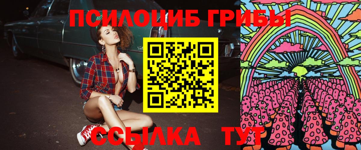 Димитровград  Псилоцибиновые грибы MAGIC MUSHROOMS  Вход с VPN 